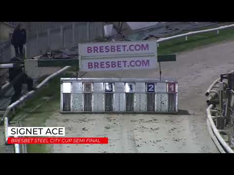 Signet Ace   BresBet Steel City Cup Semi Final 2
