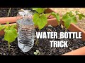 How To Water Your Garden While On Vacation DIY Drip Irrigation