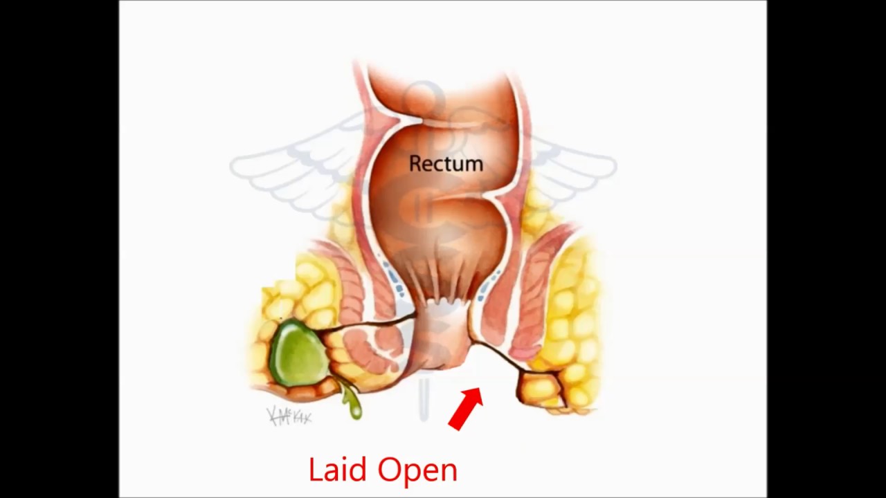 Jose Maria Mullerat Prat-9