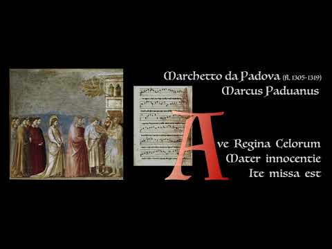 Marchetto da Padova ___ Ave regina celorum