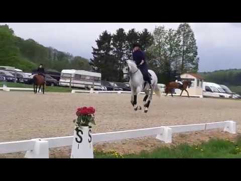 werth belantis 20190427ticklen 102808