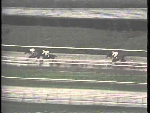 1992 San Gorgonio H. -- Paseana