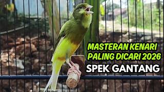 Download lagu Pancingan Kenari Jitu Cepat Respon! Bunyi Suara Kenari Gacor Jernih & Stabil Ngeroll Panjang! mp3 Download lagu Pancingan Kenari Jitu Cepat Respon! Bunyi Suara Kenari Gacor Jernih & Stabil Ngeroll Panjang! mp3