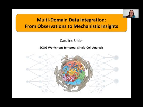Temporal Single Cell Analysis 2020 - Caroline Uhler (ETH Zurich)