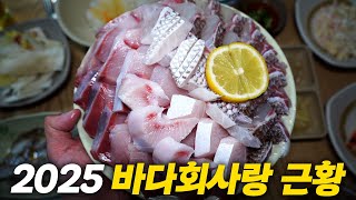 신메뉴와 대기실이 생겼다고?? 2025 바다회사랑 근황을 확인해 봤습니다!(웨이팅 현황, 방법)