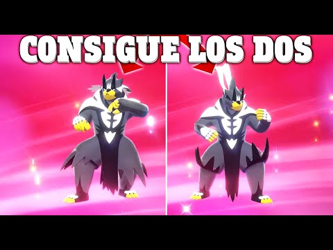 HOW TO GET 2 URSHIFU IN THE SAME MATCH! FLUID AND RAPID FORM! POKEMON SWORD AND SHIELD