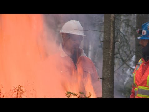 How kinks in the jet stream can push our weather to extremes