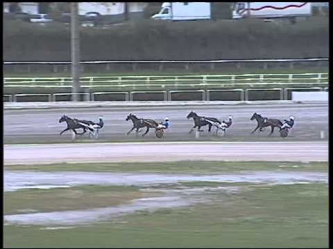 Trotto 22/02/2015 -  Prova di qualifica