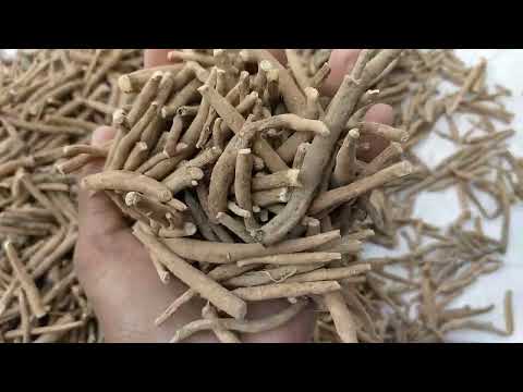 Ashwagandha Root Powder - Withania Somnifera - For Cattlefeed