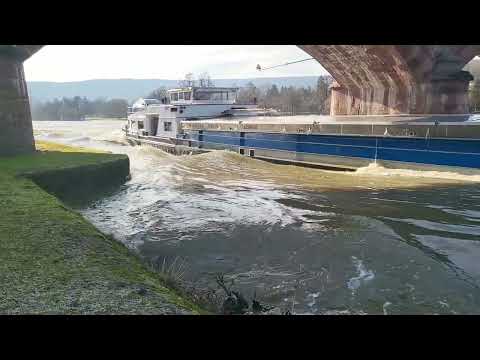 GMS Elistha bei Hochwasser in Lohr zu Berg
