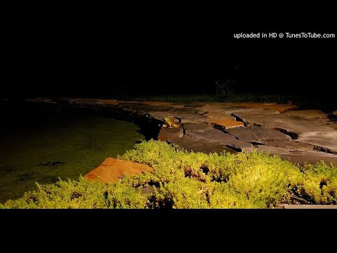 The Legacy VIP - Cluekid & Cotti