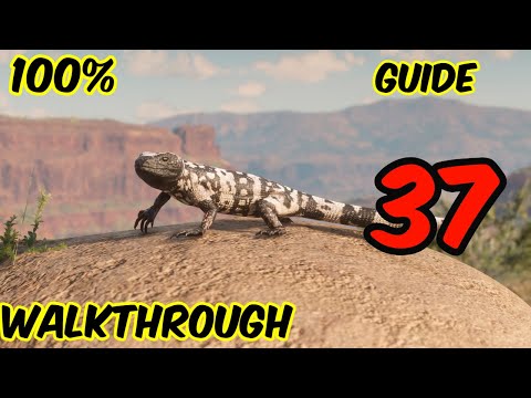 Red Dead Redemption 2 Guide part 37