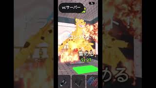 夢が叶いました