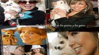 Thalia - El baile de los perros y los gatos