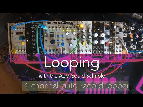 ALM Squid Salmple –  4 Channel auto record looper