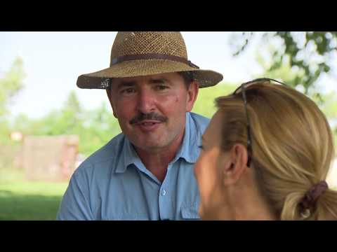 Gasztroangyal 29. rész – Szatymaz (2014)