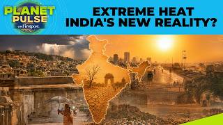 Can India Escape Its Worsening Heatwave Conditions Anytime Soon? | Planet Pulse | N18G
