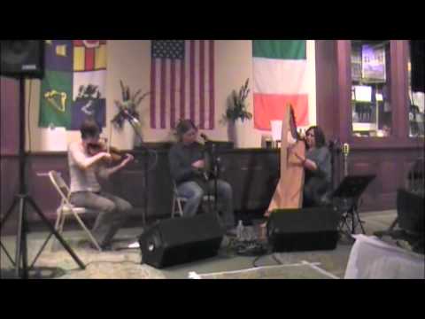 Dorian's Wheel Plays The Holly Bush / Rolling In The Barrel / The Ivy Leaf