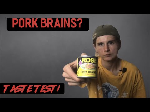 CANNED PIG BRAINS? - canned pork brains in gravy taste test!