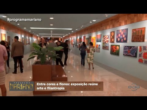 Entre cores e flores: Exposição reúne arte e filantropia 03 09 2022