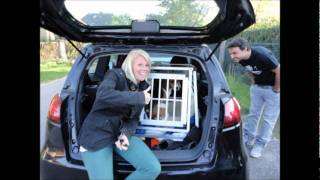 La Fe perdida - Valentin Elizalde