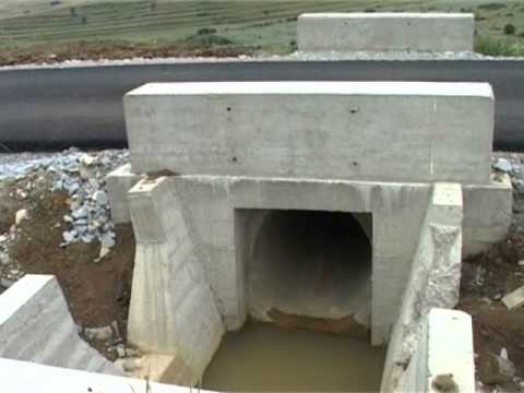 Drum asfaltat la Neteni