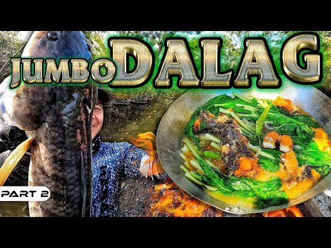 EP891-P2 - Electric Fishing in a Private Property