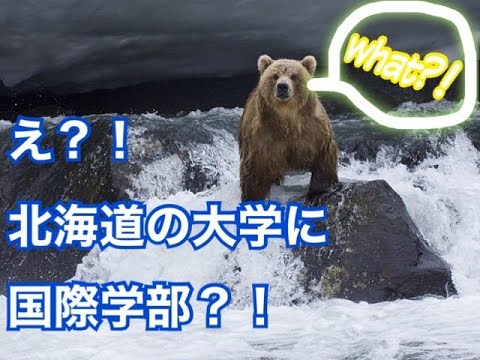 え？！北海道の大学に国際学部が！！！？北海道文教大学