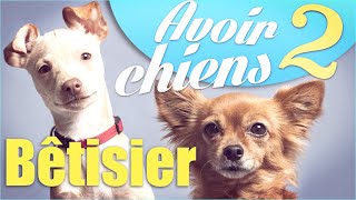 Bêtisier "Avoir 2 chiens" - Natoo