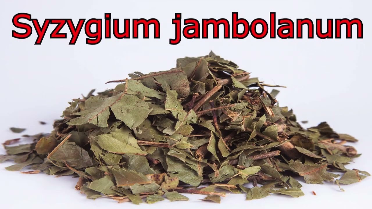 ERVA que Fortalece OSSOS, NERVOS e MÚSCULOS 🌿 Anemia, Glicose, Alergias 💖 MARILENE SARAH FIALHO