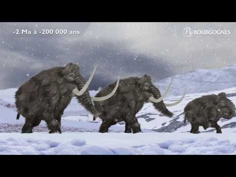 Bourgogne à l’origine du terroir