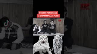Download lagu Pengisian khodam macan putih #khodammacanputih mp3