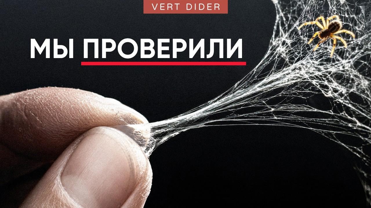 Паутина крепче стали? [Veritasium]