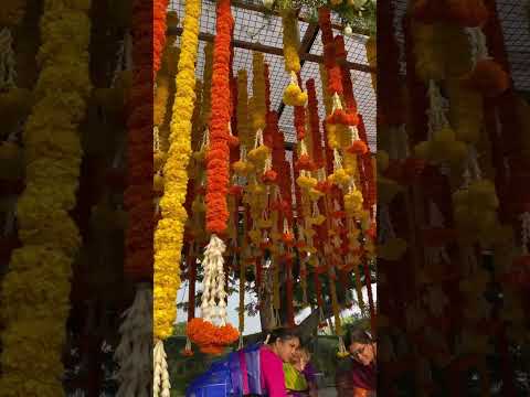 Wedding Decorator portfolio by Lk Decors in Chennai - Photo 0 Wedding Decorator portfolio by Lk Decors in Chennai - Photo 0