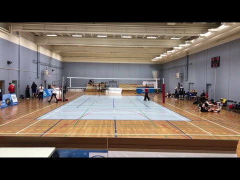 Livestream. Amager VK vs. Aalborg Volley