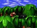 Donkey Kong Country Intro