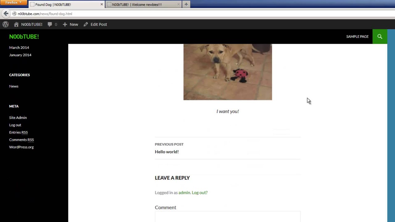 How to Manage, Edit, and Create Pages and Posts in WordPress