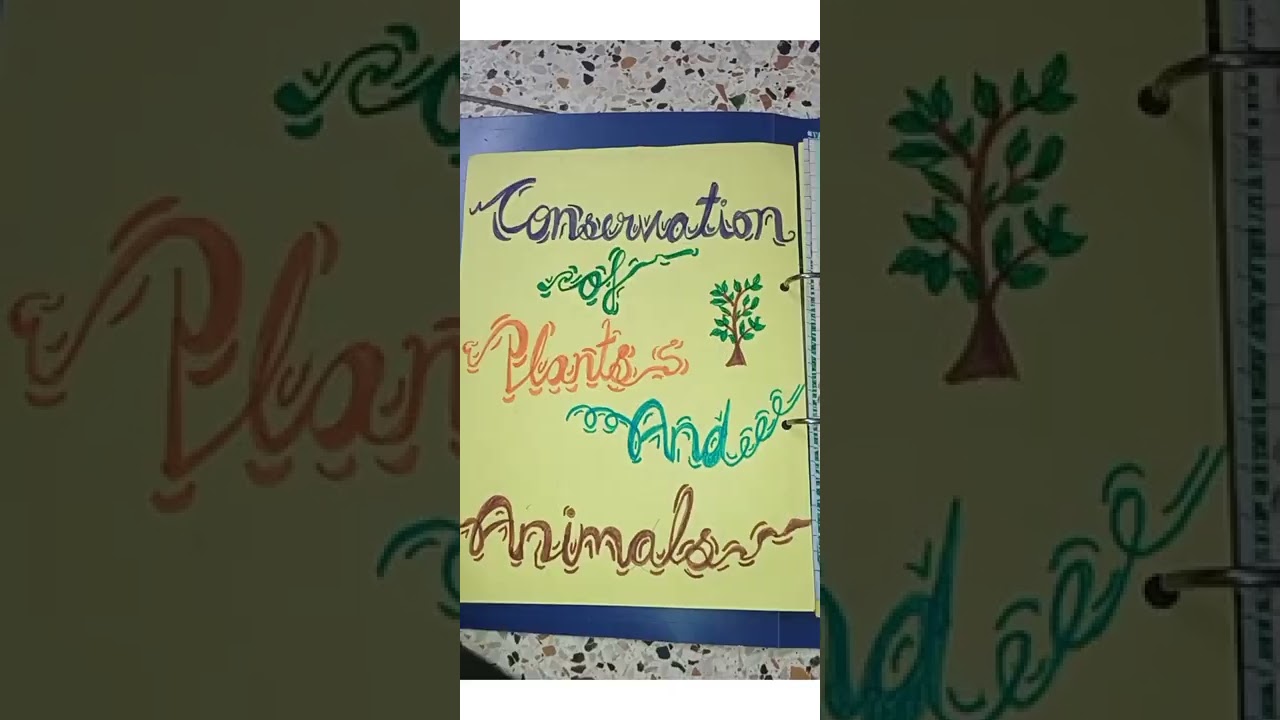 project conservation of plants and animals #project #creative @jiya's art planet