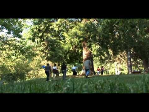 Vulnerable Youth Lead Positive Change