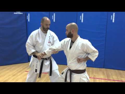 Saifa bunkai 2016