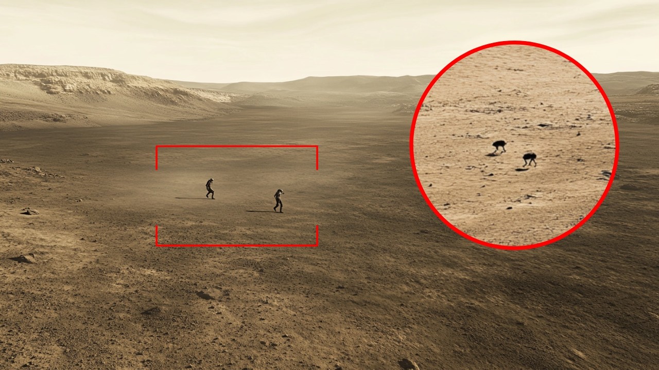 NASA Mars Rover Perseverance Sent Most Incredible Footage Of Mars! Curiosity' Rover Mars in 4K