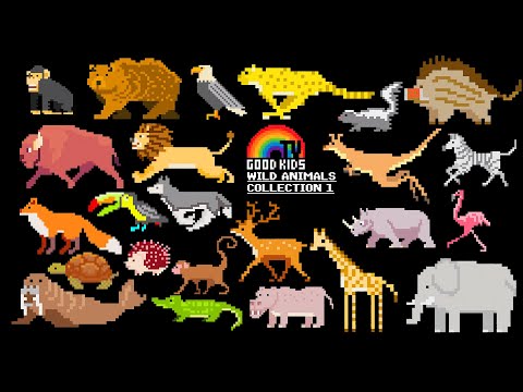 Learn Wild Animal Names with Cute and Funny Animals Collection1I Good Kids|Pictures Show