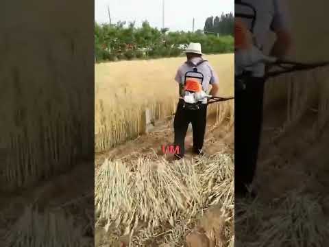 Petrol Brush Cutter