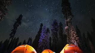 The Bigfoot Of The Chenango River – Bigfoot’s Wilderness