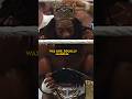 Booker T’s Favorite World Title Wins