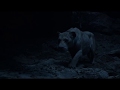 The Lion King 2019 Nala Escapes From The Pride Rock HD