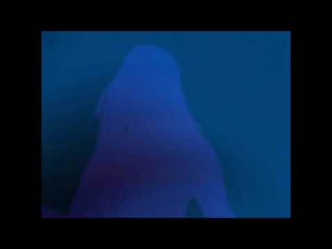 Klanglos  ft. Holly Henry - Sweet Dreams  (Voltago bootleg)