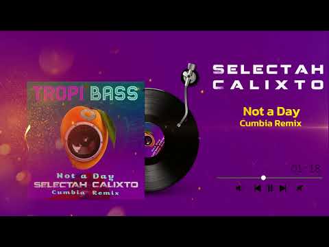 Patrice X Ezhel - Not a Day (Selectah Calixto Cumbia Remix)