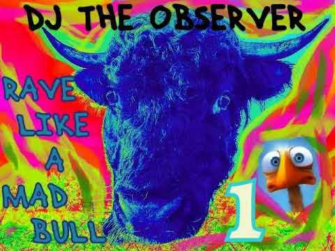 DJ The Observer - Rave like a mad bull -Part 1