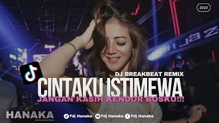 Download lagu Dj Cintaku Istimewa Remix BreakBeat (House Musik2019)| Dj Hanaka Remix mp3